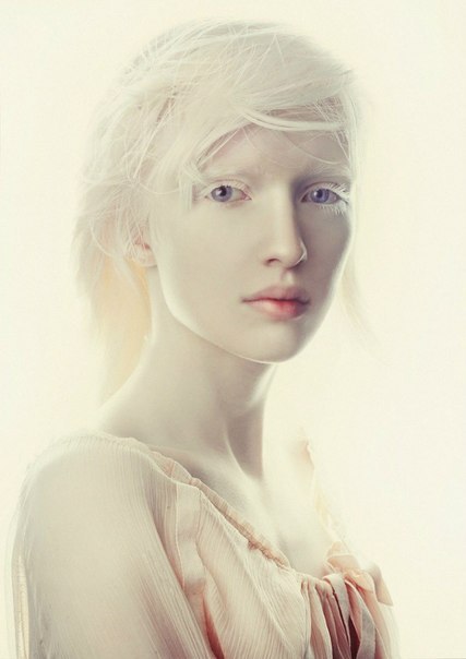 Albino Russian