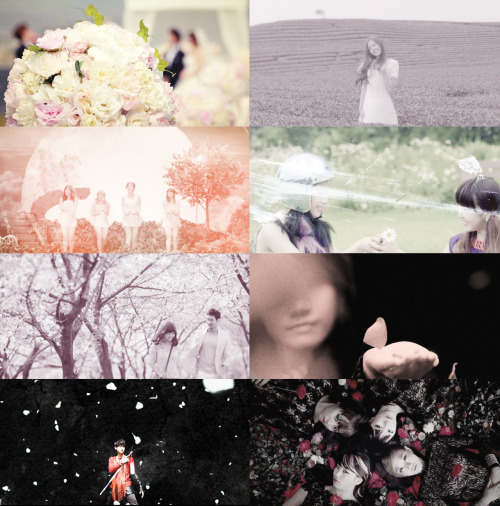 jong-daes:

1/? music video props → flowers
