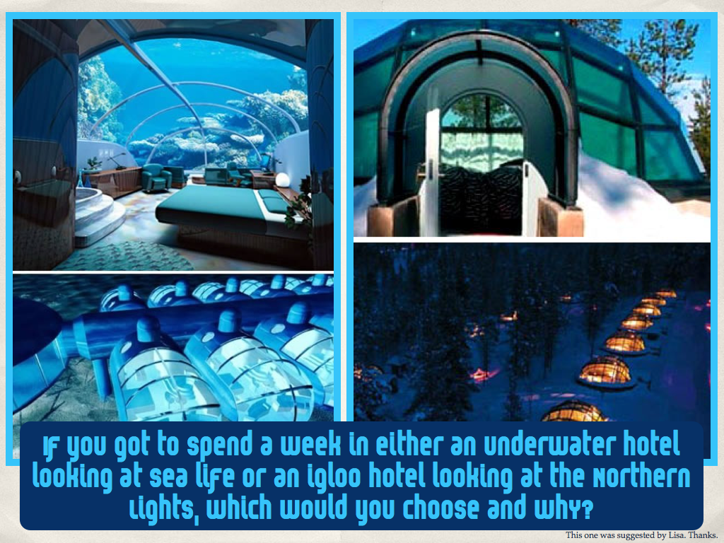 556

Igloo or underwater hotel?
