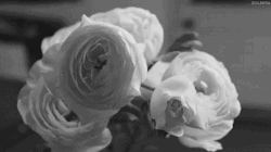 gif love death Black and White sad beautiful creepy dark flowers nature sadness Macabre 