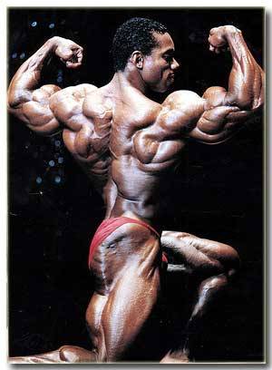 Best steroid cycles 2013