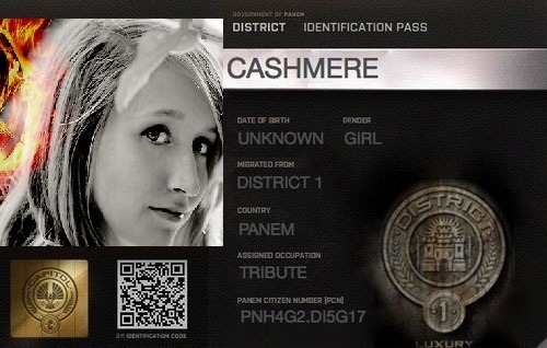 Hunger Games Cashmere