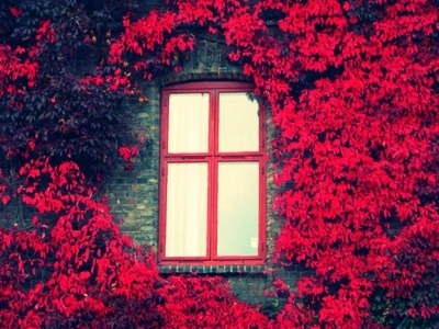 window #view #beautiful #beautiful nature #nature