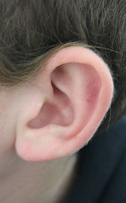 Ear Reference