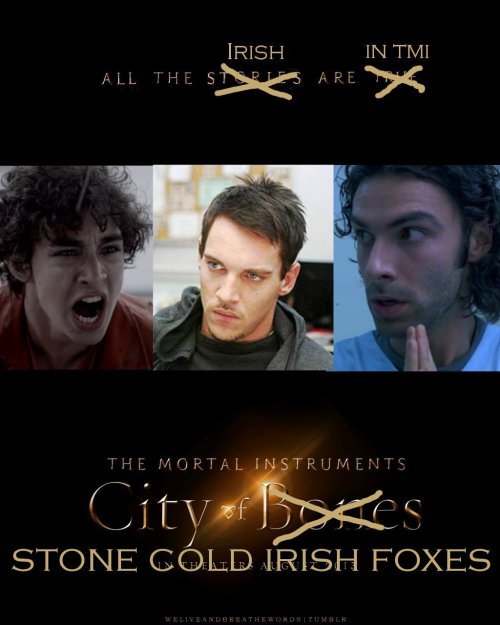 &#8220;City of Stone Cold Irish Foxes&#8221; — I know I can always count on you guys.