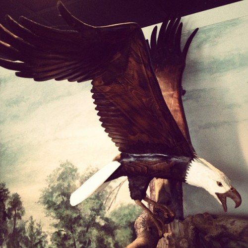 Eagles Are badass (Taken with Instagram)