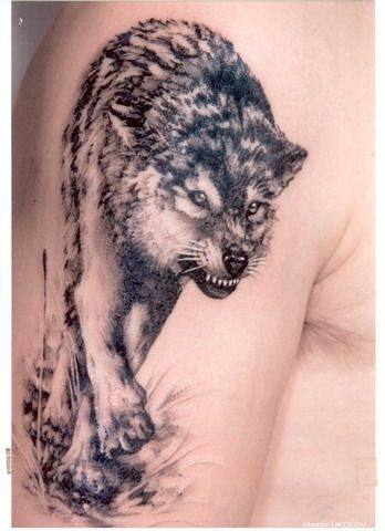 Tattoos Tumblr on Wolf Tattoo   Tumblr