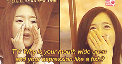 Gif Image] SNSD Funny Momment – Yoona & Taeyeon (about Yoona's wide open  mouth & fish expression) | yoontaeyeon