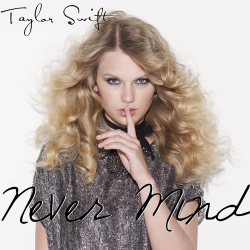 Taylor Swift Never Mind