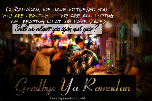
O Ramadan, we have witnessed you…you are leaving….we are all hoping of  reaping what we have sowed…

Shall we witness you again next year?
