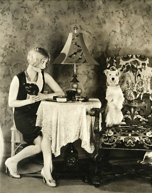 screengoddess:

Alice White 1929
