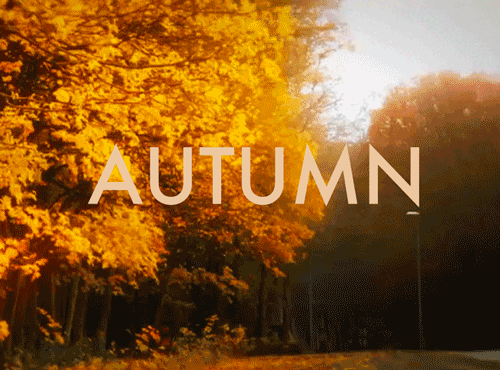 gif love favorite fall autumn season 