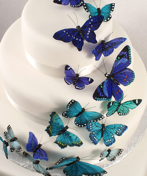Image result for blue butterfly wedding