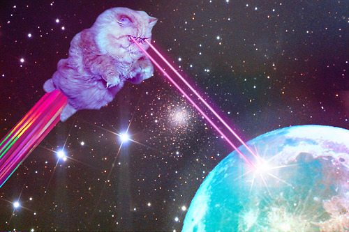 San Diego Laser Cats Avatar