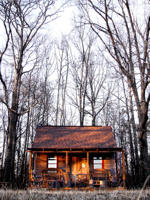 resolutewoman:

just a cabin in the woods would do
