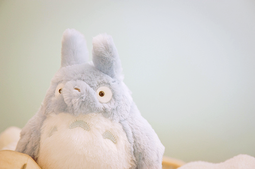 
Totoro (by kmeneses)
