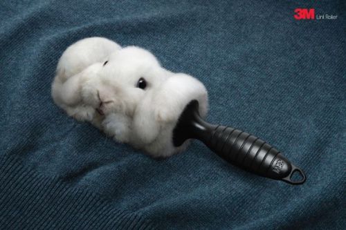 (via Cute Lint Rollers | thaeger - blog this way)