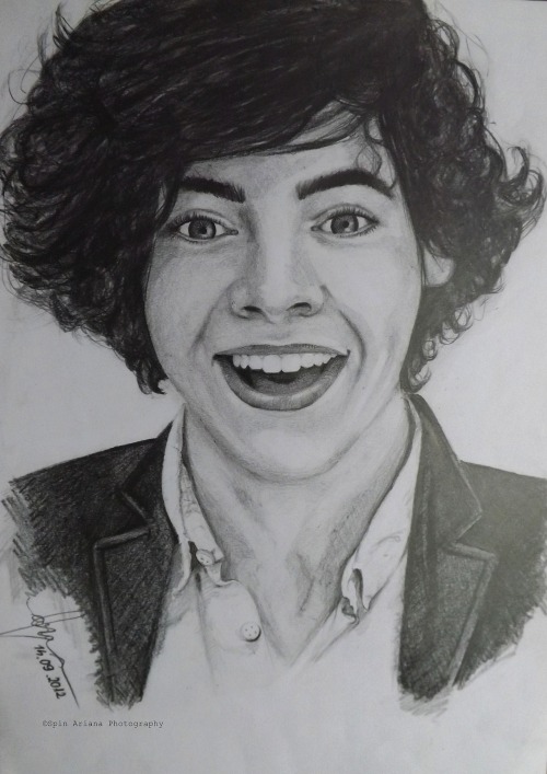 becauseidkanyurl:

My Harry Styles drawing :P
[I’m selling it]
