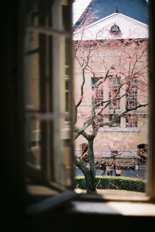 out of a window (by kaori.ikt)