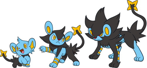 Image result for Shinx, Luxio, and Luxray
