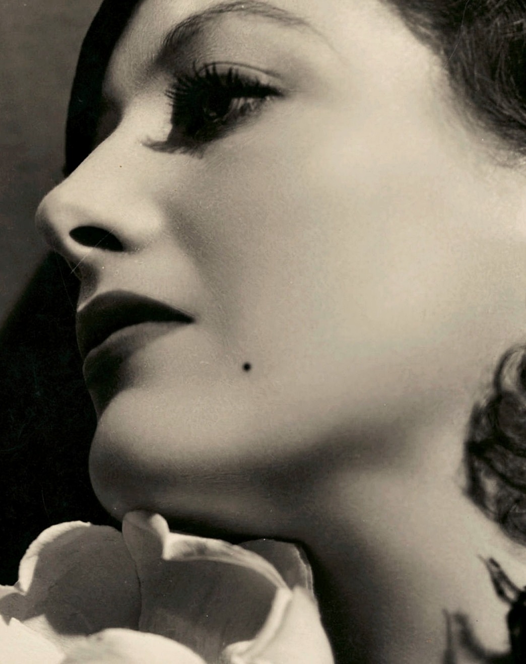 
Photographed by George Hurrell.
