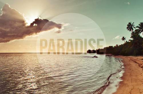 Paradise !