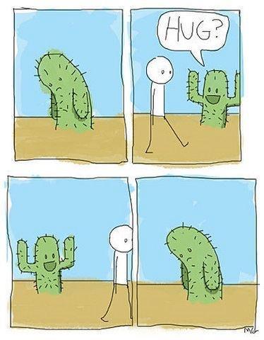 Cactus hug? No?

-creator unknown