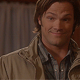 SPNG Tags: Sam / Dramatic Zoom / yes
Looking for a particular Supernatural reaction gif? This blog organizes them so you don’t have to spend hours hunting them down.
