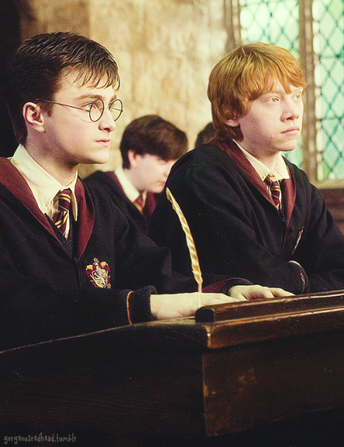 
91/~ Rupert Grint Movie Stills ♛ Harry Potter and the Order of the Phoenix
