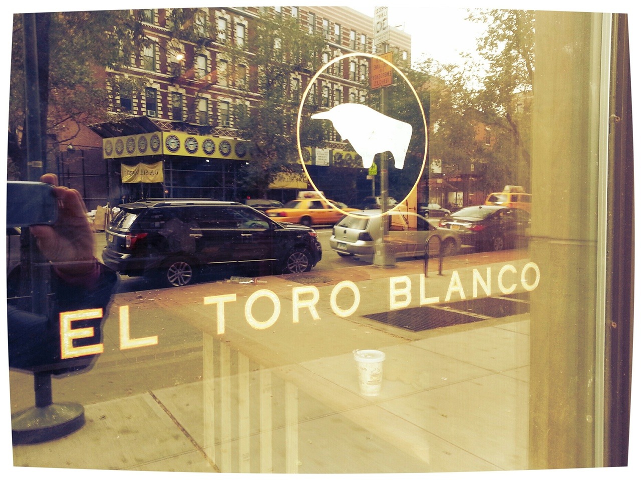 Picture of El Toro Blanco