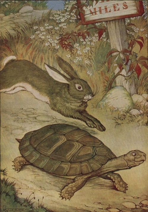 The tortoise and the hare met for coffee. They each casually mentioned their recent successes, secretly hoping to appear better than the other. As they walked their separate ways home it hit them at the same time: There never was a race. There is no destination. There is no winner.