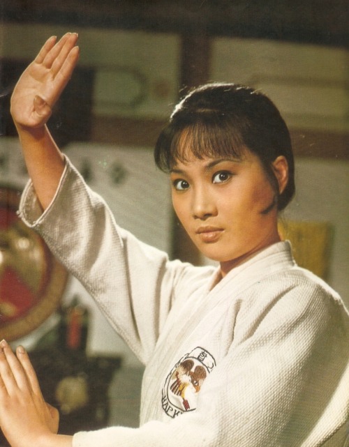 Angela Mao Lady Kung Fu