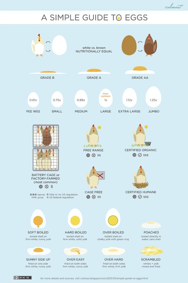 free range cage free chickens and ways of cooking eggs chart