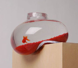 "On the edge" fishbowl