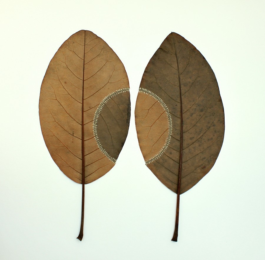 Susanna Bauer - Trans-Plant No.3, magnolia leaves, cotton yarn