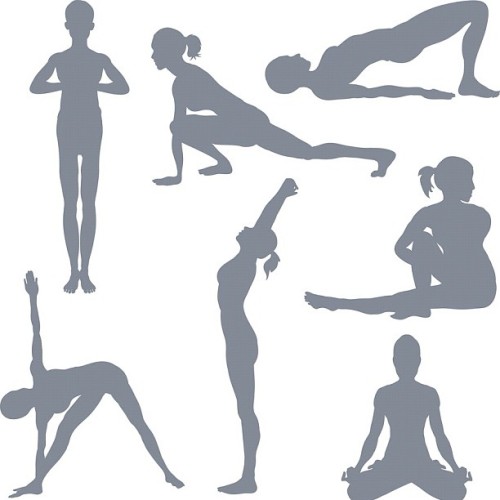 Vinyasa Yoga Video Beginner