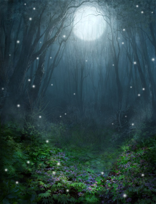 
Magical Forest by ~PatrickMcEvoy
