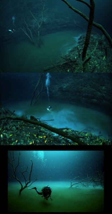 underwater lake pictures
