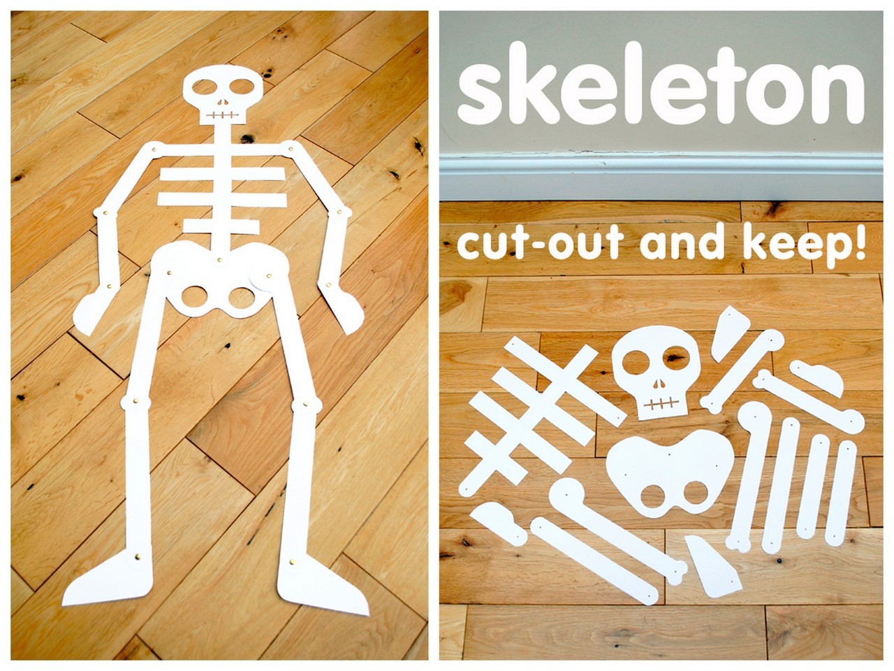 Simple Skeleton Template