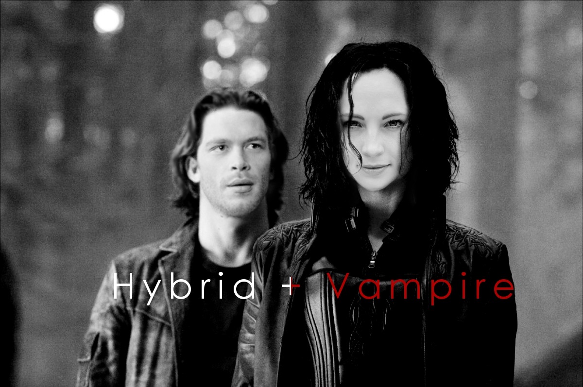hybrid vampire