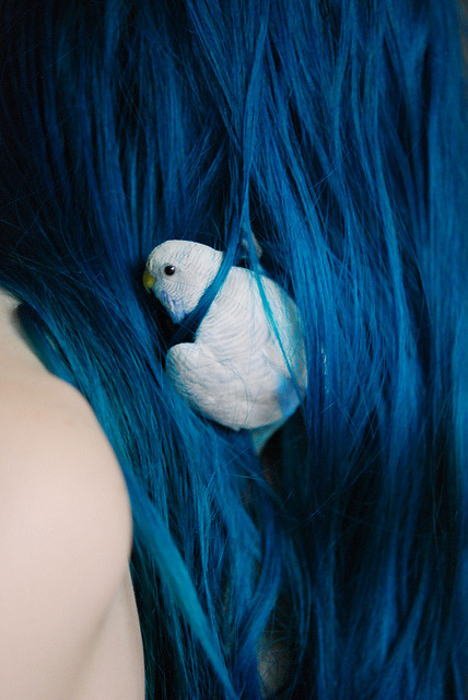 dyedh41r:

annieeey:

Ophelia by Laurence, on Flickr.

for “midnight blue” this was the darkest blue I have!
