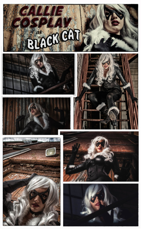 calliecosplay:

Black Cat Series Collage by John Corley