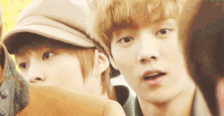 my gif exo Lu Han airport exo m Luhan xiaolu his stare though he's so cute i just don't understand 22?? 
