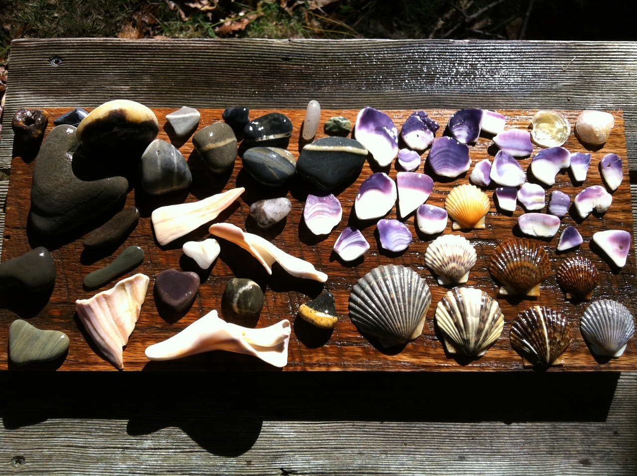 And here’s all the other stuff that i grab when I’m at the beach 