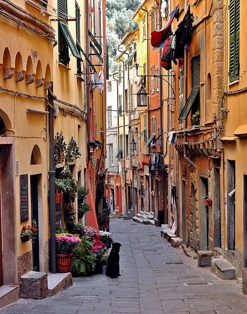 bluepueblo:

Narrow Street, Liguria, Italy
photo via evys
