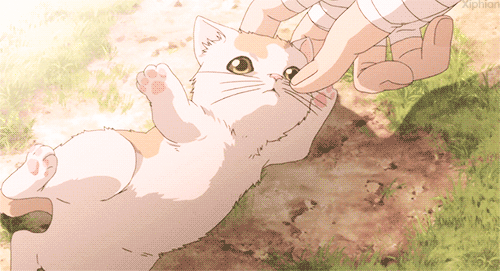 gif cute anime kitten 