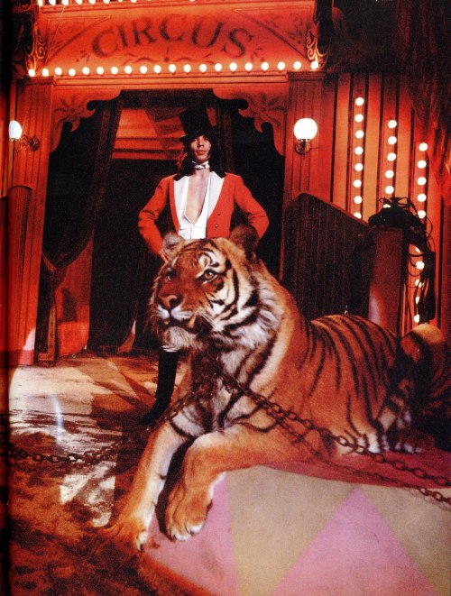 The Rolling Stones - Rock and Roll Circus Tiger