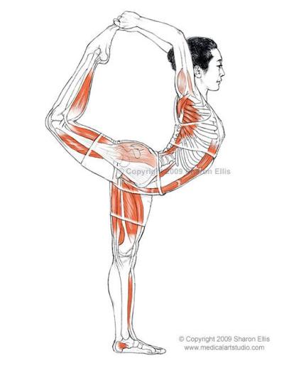 Natarajasana (Lord of the Dance Pose)B e n e f i t s — Stretches the shoulders and chest— Stretches the thighs, groins, and abdomen
— Strengthens the legs and ankles— Improves balance♥ Yoga Inspiration