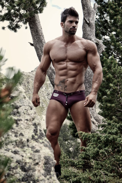 Attractive muscled forester