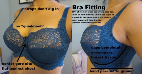 thatbradoesnotfither:    Here is an excellent graphic showing how a bra should fit! If your shoulders hurt at the end of the day, or you find yourself constantly re-adjusting your bra, it might be a good idea to re-evalute your bra size and find a bra thats good enough to support your awesome boobs. (Its the bras faultnot yours!)    If your bra does not meet all this criteria you need to measure yourself PROPERLY ok, Victoria&#8217;s Secret does not count at all  chances are you are not a 34-38&#160;B-C ladies
